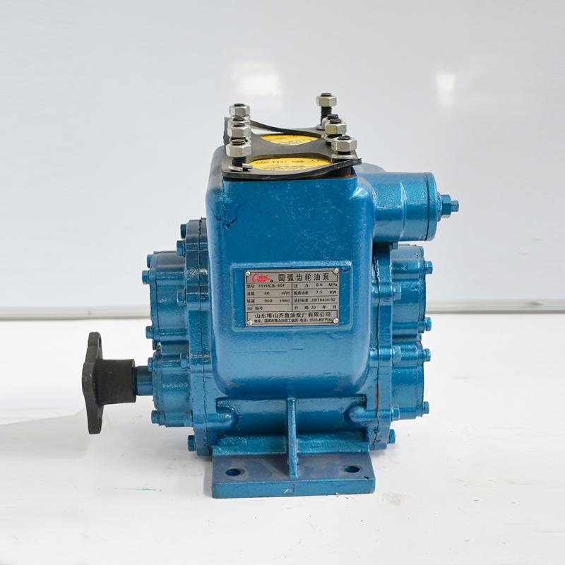 Cast Iron Gear Oil Pump