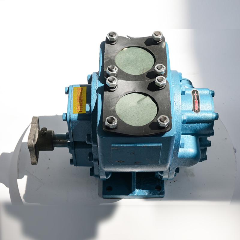 Bidirectional Rotary Fuel Pump