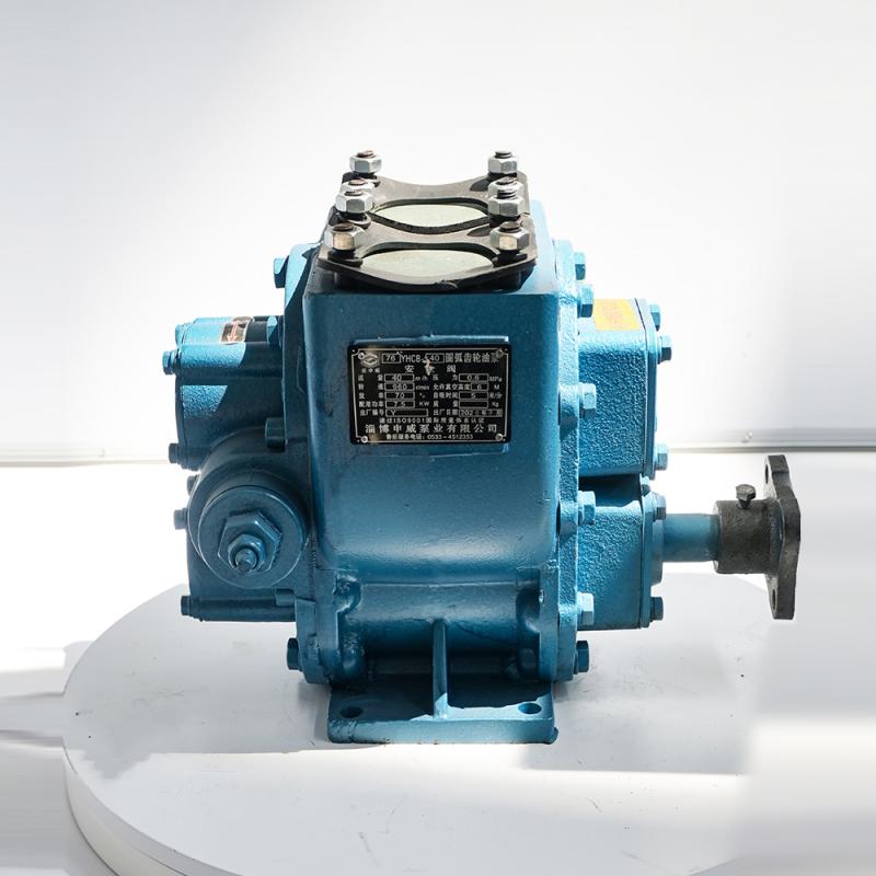 Bidirectional Rotary Fuel Pump