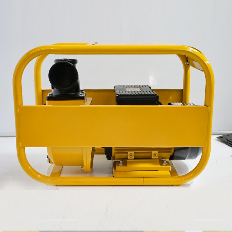 Electric self-priming fuel pump