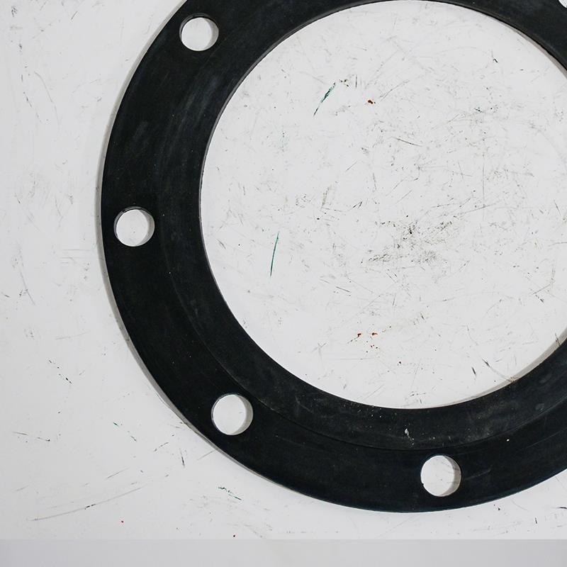 Flange sealing gasket