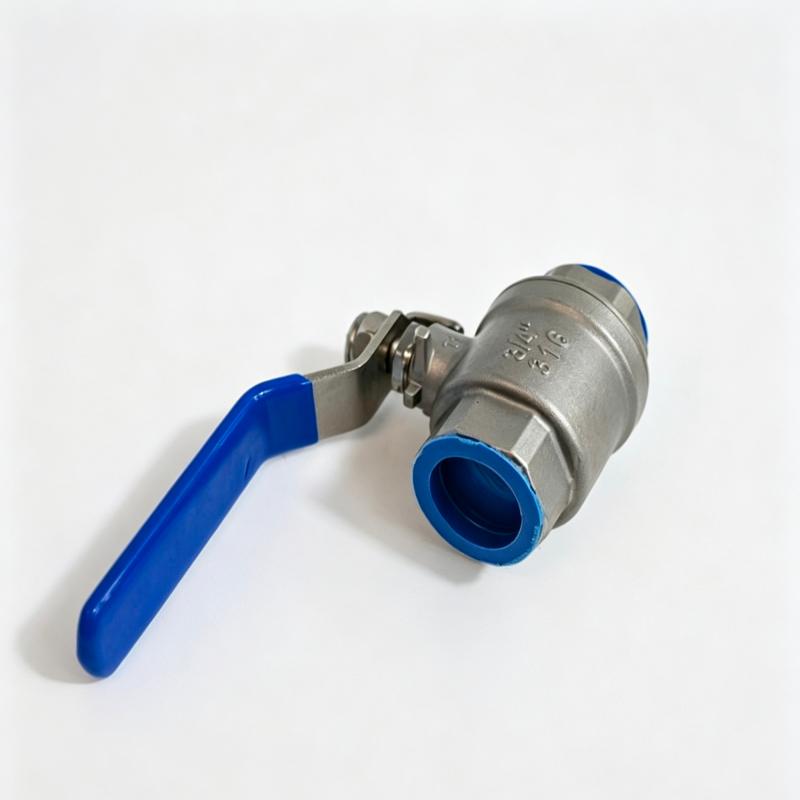 1 vanne à bille en acier inoxydable 316, monobloc, filetage 3/4