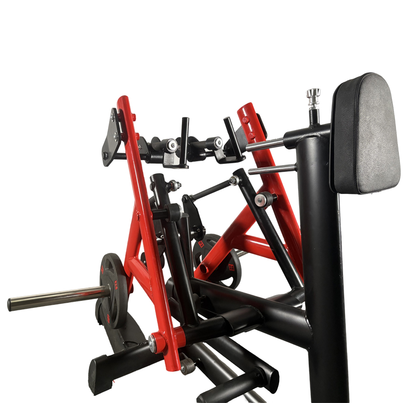 Training of the back muscles