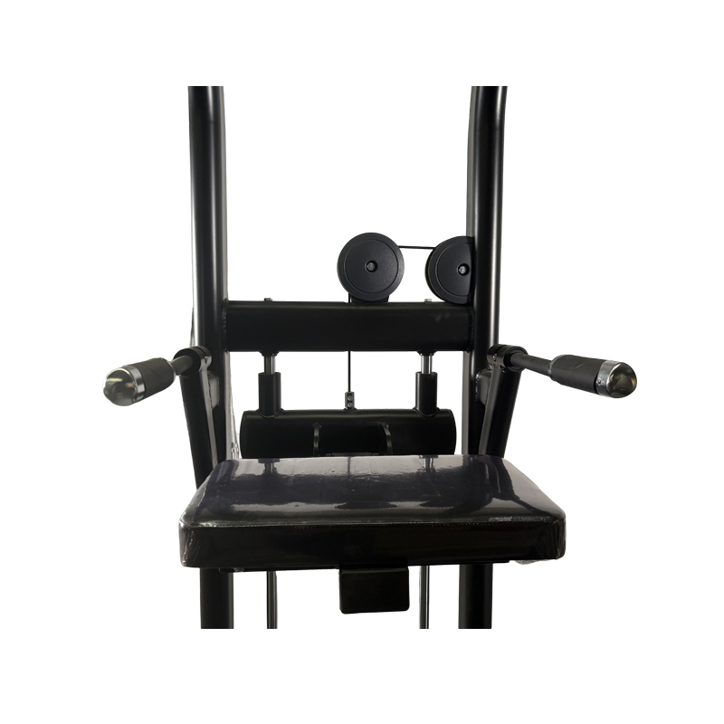 Pin Loaded Dip Assist Equipment