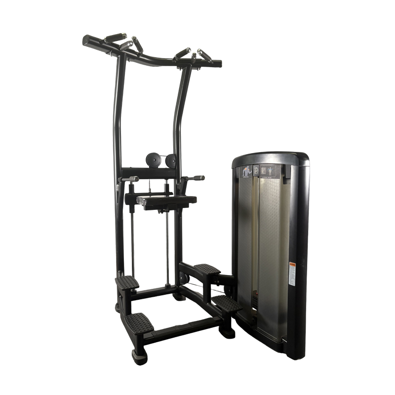 Selectorized Lateral Raise