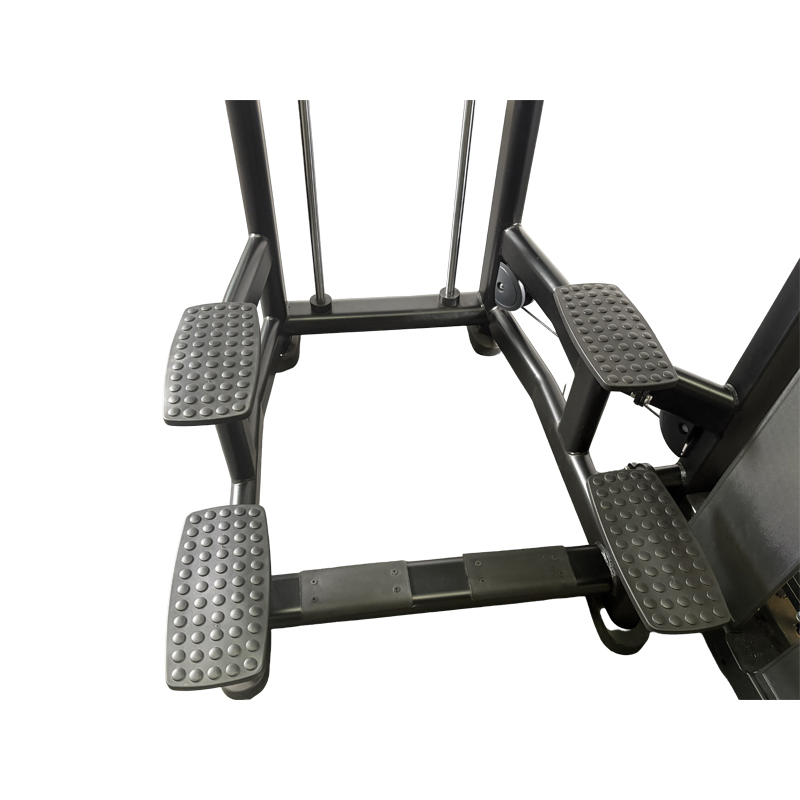 Biomechanical Dip Machine