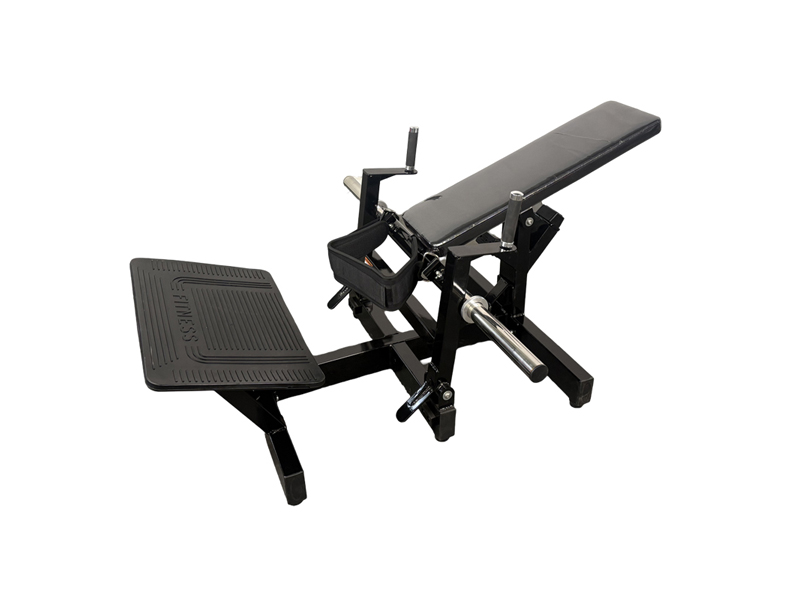 Novas chegadas Novas chegadas