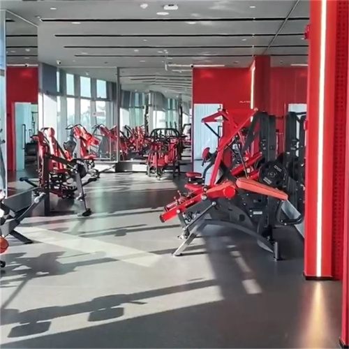 Middle Eastern Customer Gym