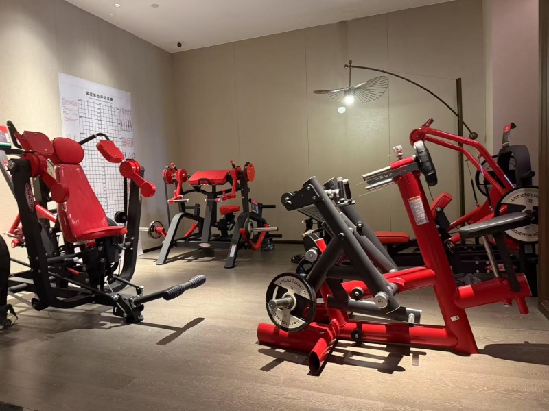 Xuzhou Lebo Fitness Equipment Co.,Ltd Xuzhou Lebo Fitness Equipment Co.,Ltd