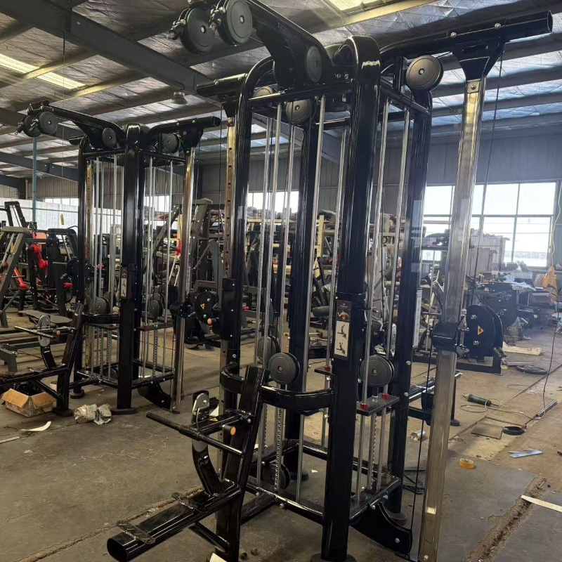 fábrica de academia de selva mj8