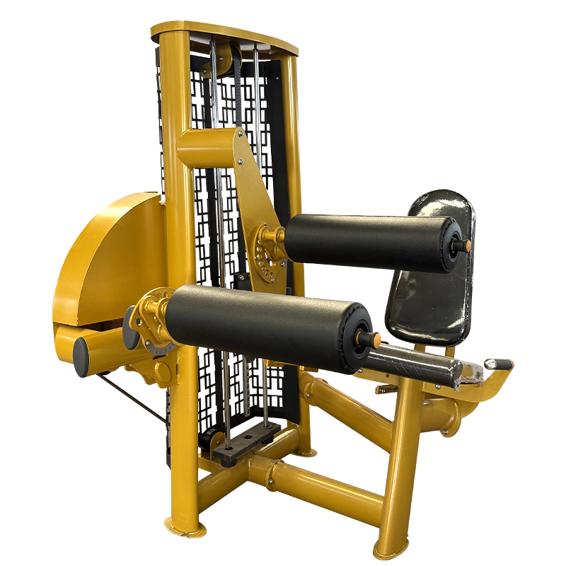 machine à extension de jambe orized leg curl