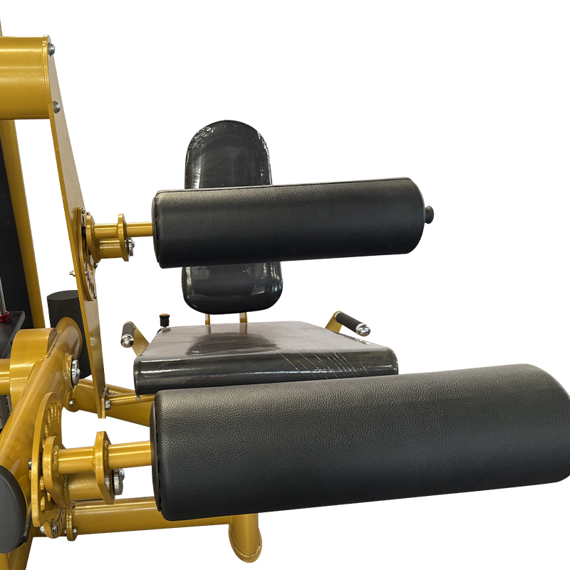 machine à extension de jambe orized leg curl