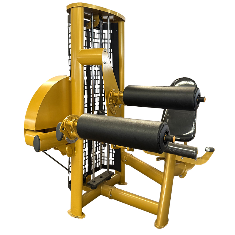 machine à extension de jambe orized leg curl