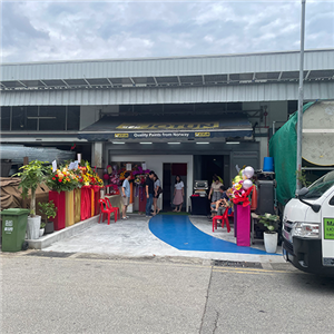 O companie de decorațiuni înființată de un client din Singapore