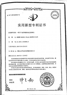 Certificat de brevet de modèle d'utilité