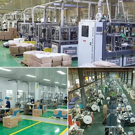 Giới thiệu tóm tắt về Nhà máy và Công ty Xinyujie