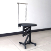 Pneumatic Lift Dog Grooming Table