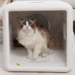 Cat Dryer Box