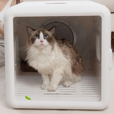 Cat Dryer Box