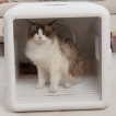 Cat Dryer Box