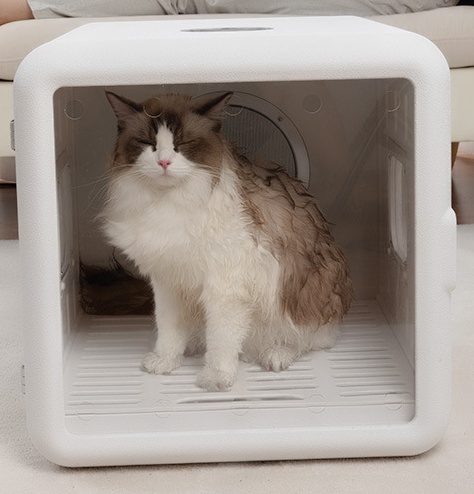 cat dryer box