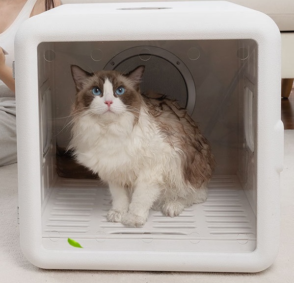 box dryer for cats