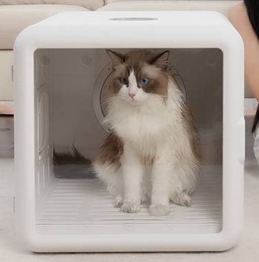 cat hair dryer box