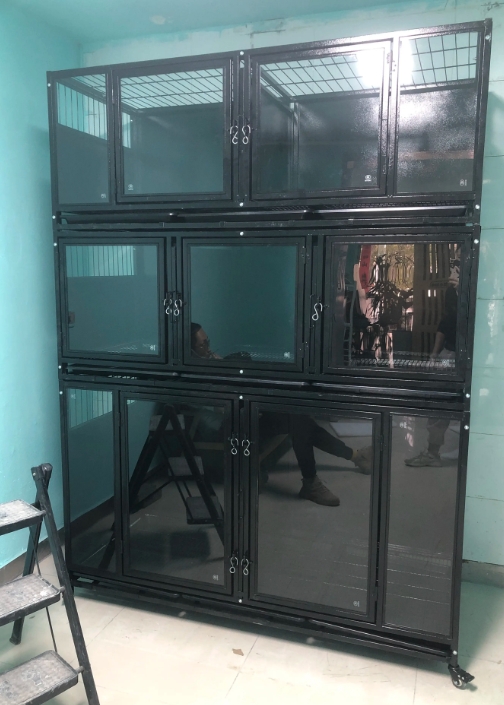 Pet Boarding Cage
