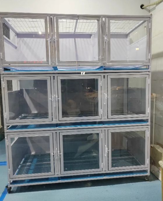 Dog Boarding Cage