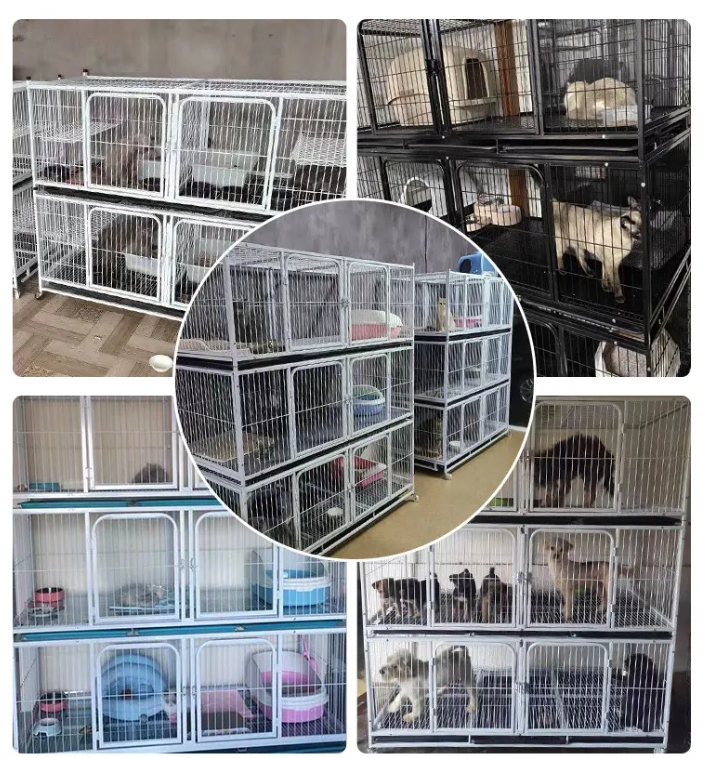 Cat Breeding Cage