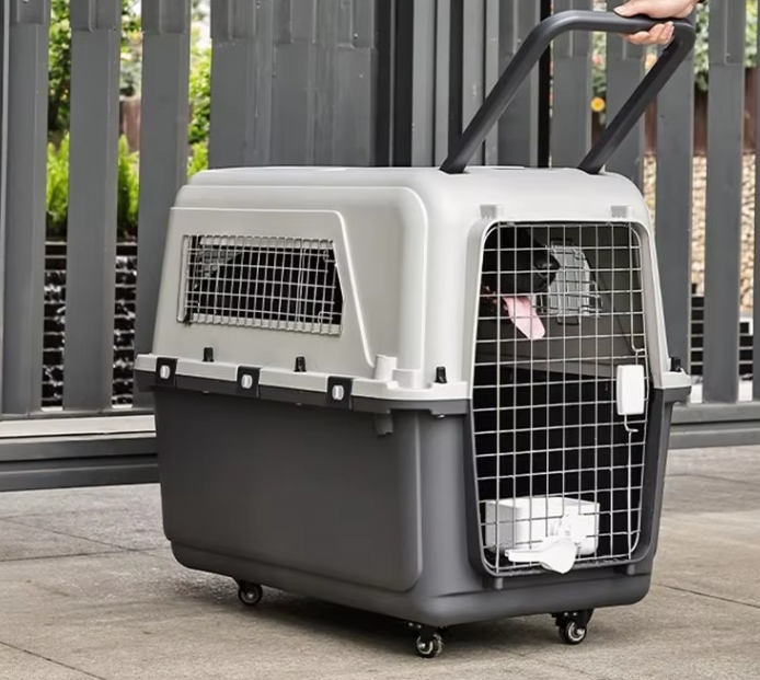 Plastic Dog Crate