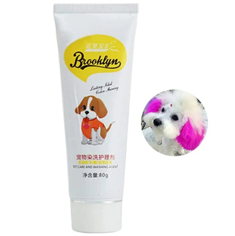 Dog Creative Grooming