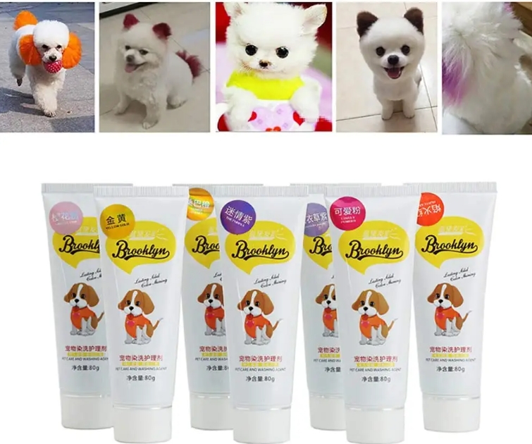 Dog Creative Grooming