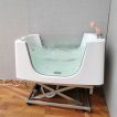 Electric Lift Dog Grooming Bathtub