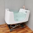Electric Lift Dog Grooming Bathtub