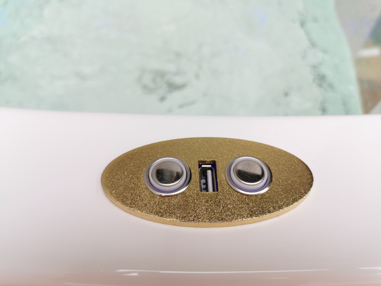 Electric Lift Dog Bathtub