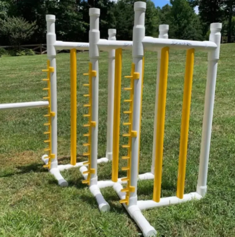 dog jumping hurdle