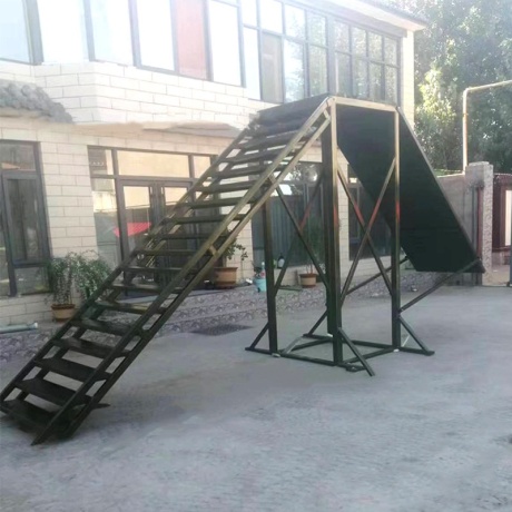 狗敏捷性 狗散步