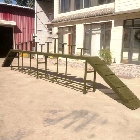 Dog Agility DOG WALK