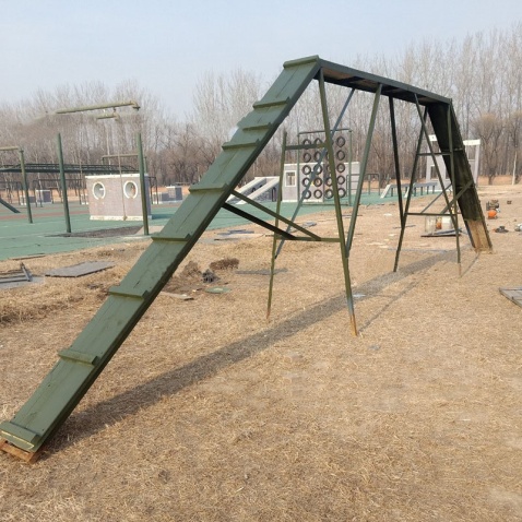 Dog Agility DOG WALK