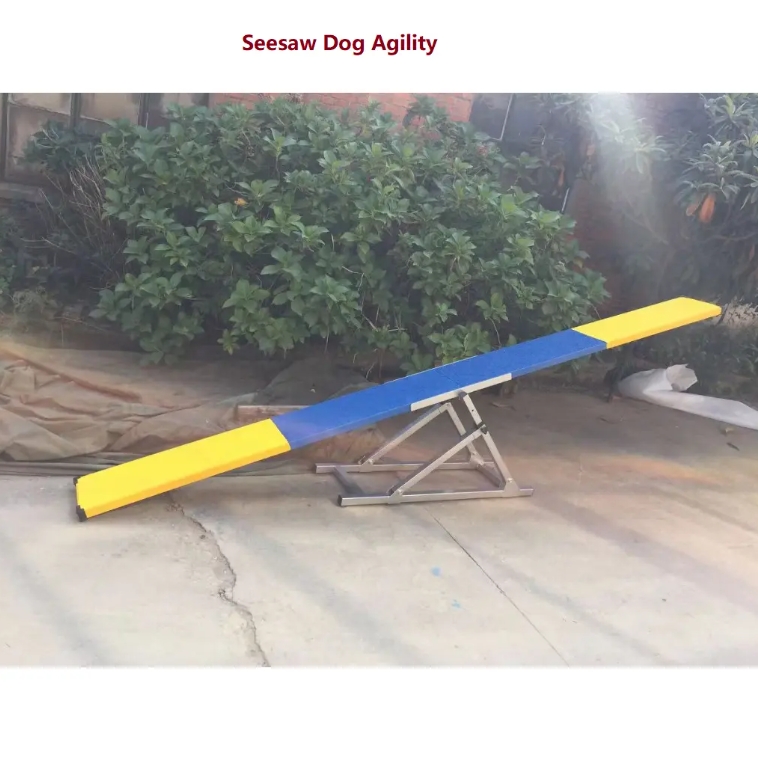 Dog agility training seesaw