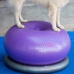 Donut Dog Balance Training Platform