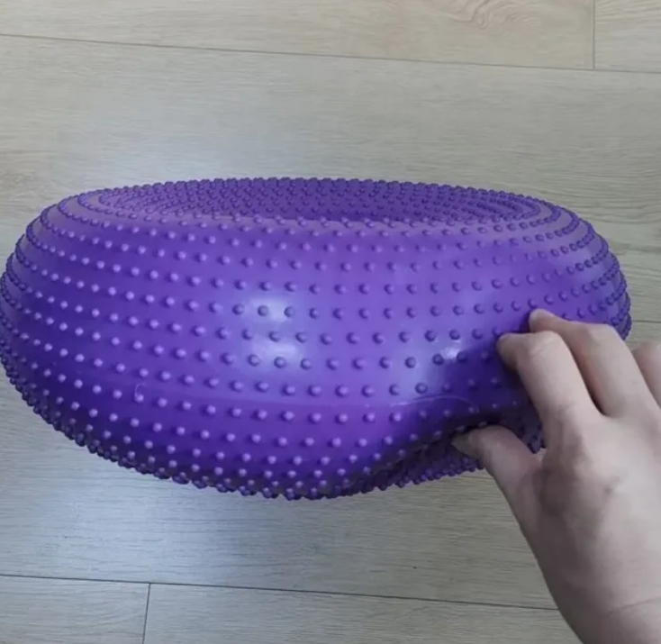 Donut Dog Balance Training Platform