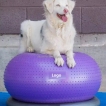 Donut Dog Balance Training Platform
