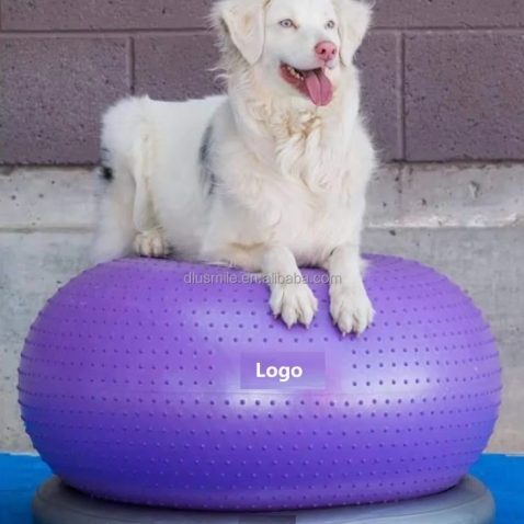 Donut Dog Balance Training Platform