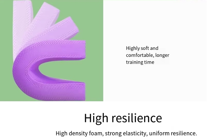 dog balance disc pad