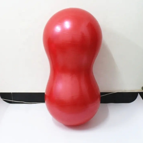 Peanut Dog Training Platform