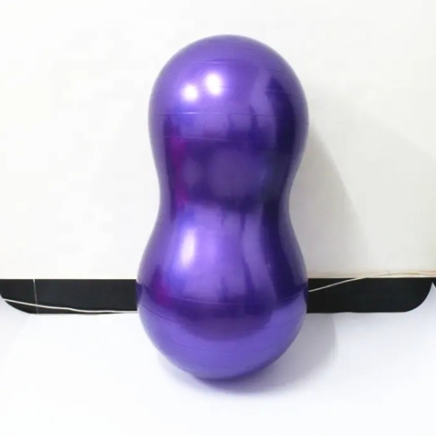 Peanut Dog Training Platform