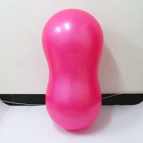 Peanut Dog Training Platform