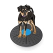 Wobble Board Dog Balance Training Platform